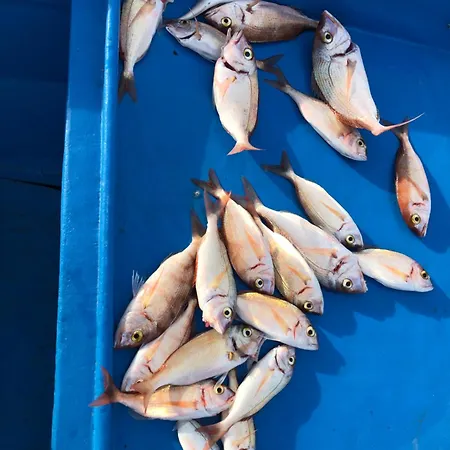 Vakantiehuis Minerva Castro (Lecce)