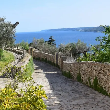 Minerva Holiday home